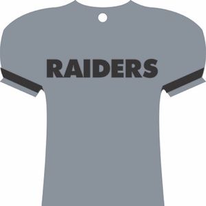 Raider Air Freshener Cool Ice Freshandwipe.com